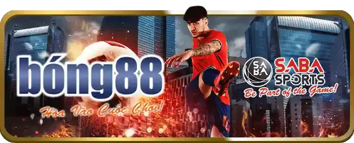 Hoàn trả cược mỗi ngày